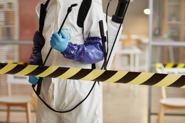 Professional Biohazard technician working in Five Points, FL